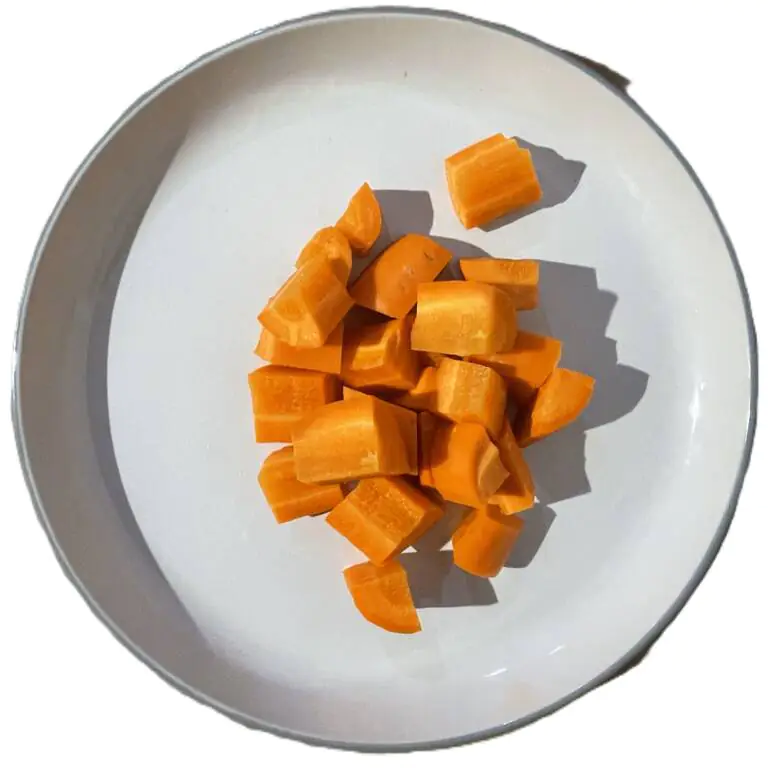 CHUNCKY CARROT.webp